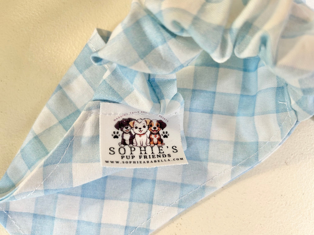 Light Blue & White Gingham