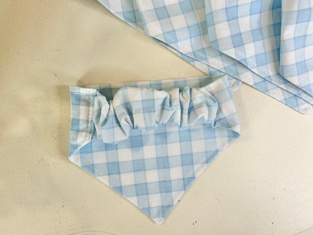 Light Blue & White Gingham