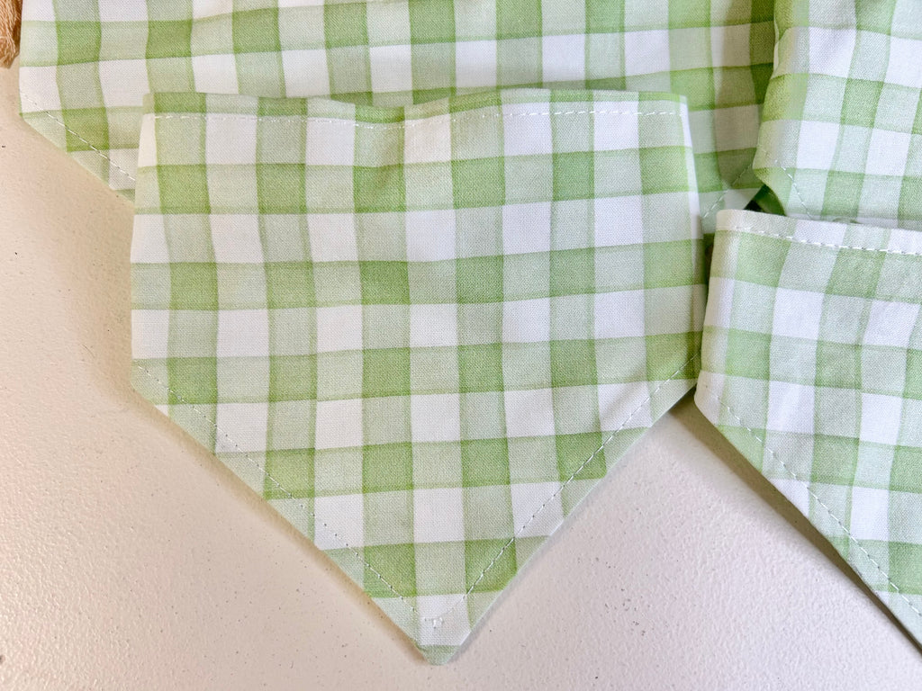 Green & White Gingham